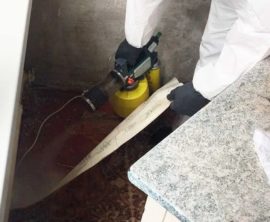 уничтожение мокриц в  Москва